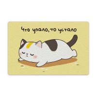 Набор для раскрашивания по номерам (на магните) ФРЕЯ 10 х 15 см "Что упало, то устало" PNBM-042