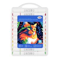 Маркеры акриловые ГАММА "Классические", 24 цв., двусторонние кисть и пуля, пластик.бокс RE-15062025_24