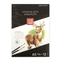 Альбом для акварели "Аква-колор" Изостудия 200 г/м2 А5 14.5 х 21 см 12 л, Гознак тисненая, склейка с трех сторон IZO-AWG-A5