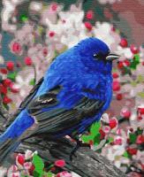 Картина по номерам: Синяя птица 40 x 50 см CV-GX23193