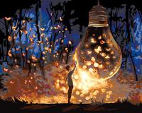 Набор для раскрашивания по номерам (со светодиодами) ФРЕЯ 50 х 40 см "Вспышки в ночи" PNB/PLDD-390