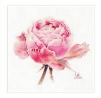 Набор для вышивания "Алиса" Акварельные розы. Розовая изысканная 24 х 26 см 2-53