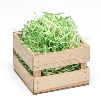 Наполнитель тишью "Травушка" 50 г микс SIM-9567752