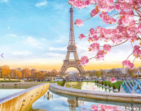 Алмазная мозаика: Цветущий Париж 40 x 50 см CV-LG194