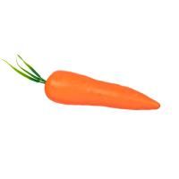 Муляж Blumentag "Морковь" 1 шт 14 x 4 см MDL-03-07