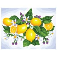 Картина по номерам на холсте ТРИ СОВЫ "Лимоны" 40 x 50 см, краски, кисть RE-КХ4050_53908