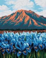 Набор для раскрашивания по номерам (холст на подрамнике) ФРЕЯ 50 х 40 см "Ирисы в горах" PNB/PL-346