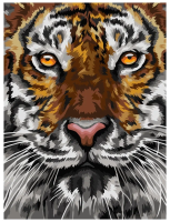 Картина по номерам на холсте ТРИ СОВЫ "Тигриный взгляд" 30 x 40 см с акриловыми красками и кистями RE-КХ_44087