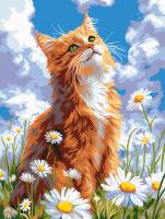 Набор для раскрашивания по номерам (холст на подрамнике) ФРЕЯ 40 х 30 см "Котик в ромашках" PNB/PM-393