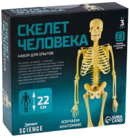 Набор для опытов ЭВРИКИ "Скелет человека" SIM-7647805