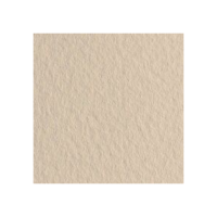Бумага для пастели FABRIANO Tiziano 160 г/м2 21 x 29.7 см 1 л, бледно-кремовый MP21297140