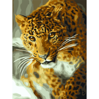 Картина по номерам на картоне ТРИ СОВЫ "Леопард" 30 x 40 см с акриловыми красками и кистями RE-КК_44024