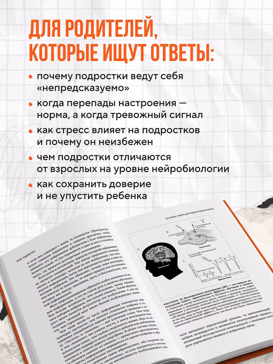 Книга: Мозг подростка. Спасительные рекомендации нейробиолога для родителей тинейджеров (обновленное издание) EKS-323447