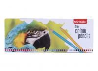 Набор цветных карандашей BRUYNZEEL Попугаи 45 цв в метал.упак MP60312903