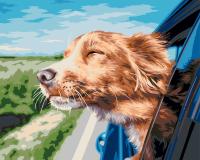 Набор для раскрашивания по номерам (холст на подрамнике) ФРЕЯ 50 х 40 см "Поездка на дачу" PNB/PL-361