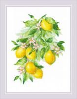 Набор для вышивания RIOLIS Сотвори Сама. Яркие лимоны 30 x 40 см 2054