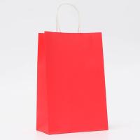 Пакет бумажный "Крафт" с кручеными ручками 22 х 13 х 32 см 120 г/м2 SIM-10420715