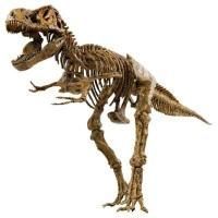 Набор скелет динозавра T-Rex 91см. Edu-Toys VT026