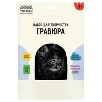 Гравюра с эффектом серебра ТРИ СОВЫ А5 "Шпиц" RE-GA5_48287