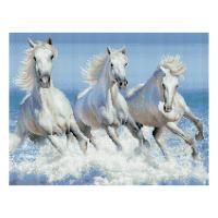 Алмазная мозаика ТРИ СОВЫ "Белая тройка лошадей" 40 x 50 см, холст на подрамнике RE-АМП4050_47618