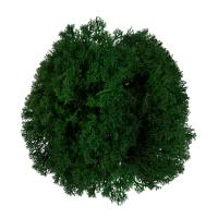 Мох стабилизированный окрашенный Королевский ягель №02 т.зеленый 45 г BMSP-45-02