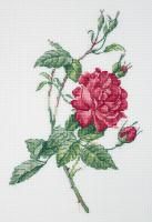 Набор для вышивания KLART "Ботаника. Роза" 15 x 21.5 см 8-531