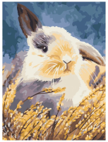 Картина по номерам на холсте ТРИ СОВЫ "Кролик" 30 x 40 см с акриловыми красками и кистями RE-КХ_44099