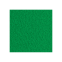 Бумага для пастели FABRIANO Tiziano 160 г/м2 21 x 29.7 см 1 л, зеленый MP21297112