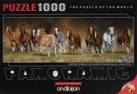 Пазл ANATOLIAN 1000 Свобода ANAT-1010