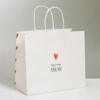 Пакет подарочный 25 × 22 × 12 см "Просто люблю" крафт SIM-4753233