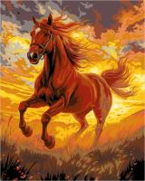 Набор для раскрашивания по номерам (холст на подрамнике) ФРЕЯ 50 х 40 см "Конь в лучах солнца" PNB/PL-326