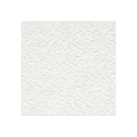 Бумага рисовальная акварельная А1 ЛенГознак 610 x 860 мм 200 г/м2 1л. RE-ЛенГознакA1