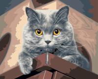 Набор для раскрашивания по номерам (холст на подрамнике) ФРЕЯ 50 х 40 см "Взгляд сверху" PNB/PL-356