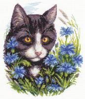 Набор для вышивания KLART "Кот в васильках" 17 x 20 см 8-110