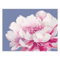 Картина по номерам на холсте с глиттером ТРИ СОВЫ "Серебро на цветке" 30 x 40 см с акриловыми красками и кистями RE-КХг3040_57052