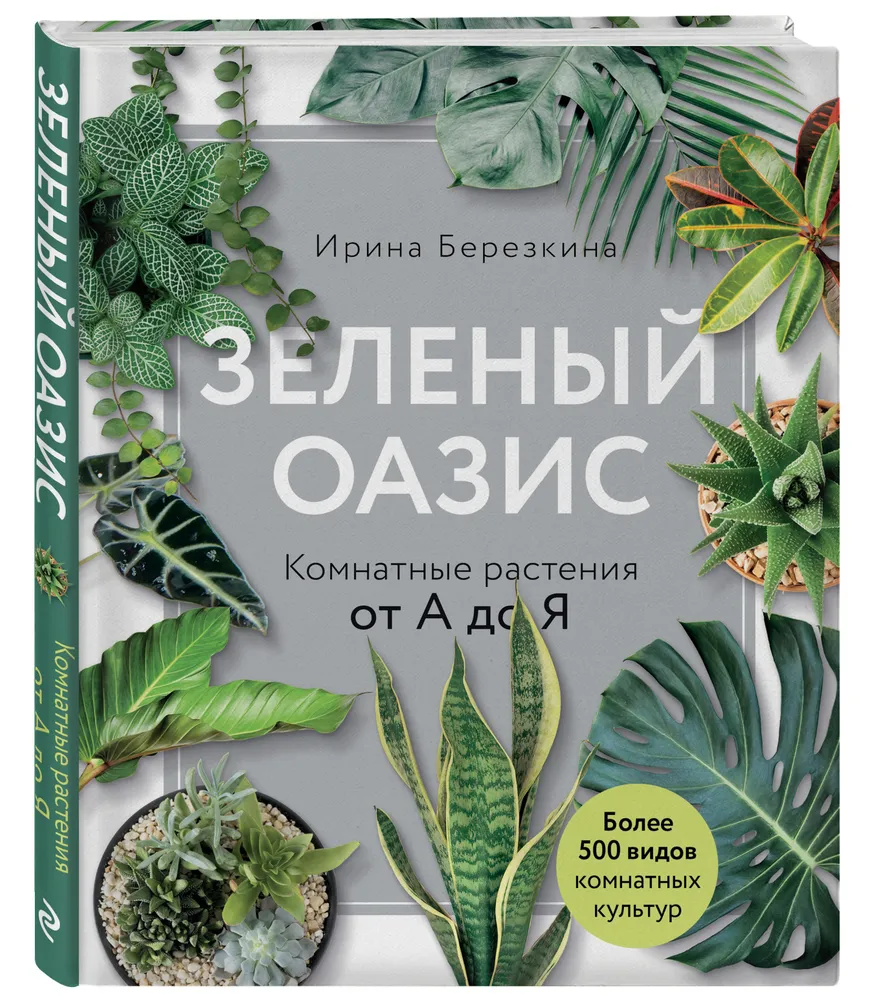 Книга: Зеленый оазис. Комнатные растения от А до Я EKS-987863 купить в  Бишкеке - hobbypark.kg