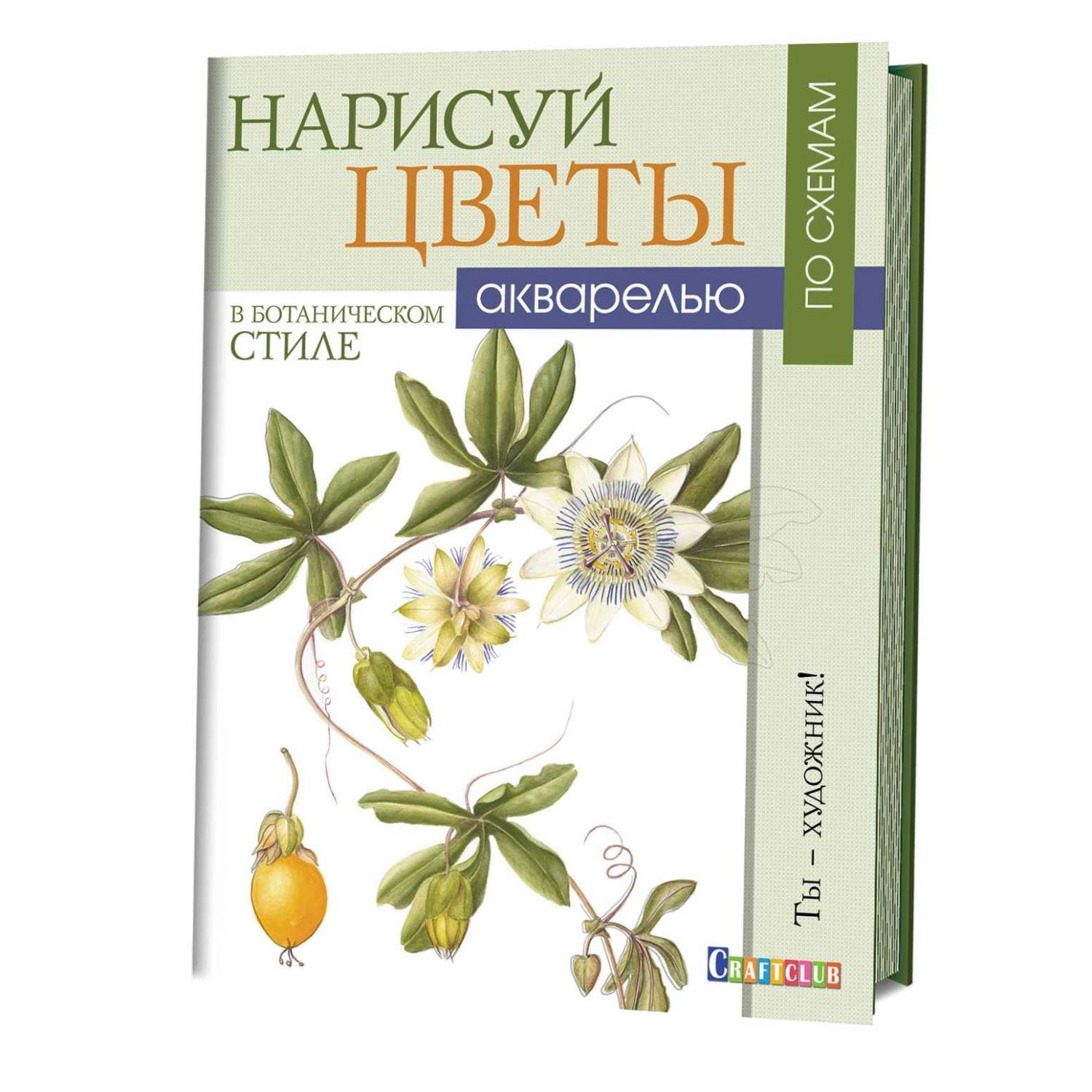 Книга КР: Нарисуй цветы в ботаническом стиле акварелью по схемам. Ты -  художник! 978-5-91906-637-8 9990506 купить в Бишкеке - hobbypark.kg