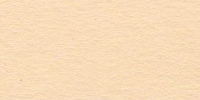 Бумага цветная VISTA-ARTISTA 120 г/м2 А4 21 х 29.7 см 1 шт 08 бежевый (beige) TPO-A4-08