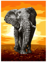 Картина по номерам на холсте ТРИ СОВЫ "Слон" 30 x 40 см с акриловыми красками и кистями RE-КХ_44085