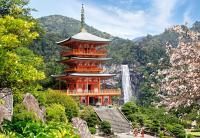 Пазл Castorland 1000 Seiganto-Ji Temple, Japan C-103201