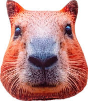 Игрушка-антистресс мягкая Tallula Капибара-кругляш, 22 см UT-201901s