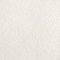 Бумага рисовальная акварельная A4 ЛенГознак 200 г/м2 1л. NP-БР-0354