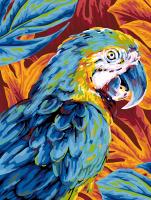 Набор для раскрашивания по номерам (холст на подрамнике) ФРЕЯ 40 х 30 см "Разноцветный попугай" PNB/PM-397