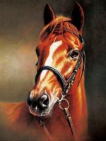 Каштановая лошадь, алмазная картина, CV-LG014
