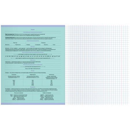 Тетрадь предметная 48л. MESHU "Ученый MISHKA" - Русский язык, матовая ламинация, выборочный УФ-лак, тиснение фольгой RE-MS_47951