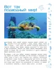 Книга: Морские животные EKS-713683