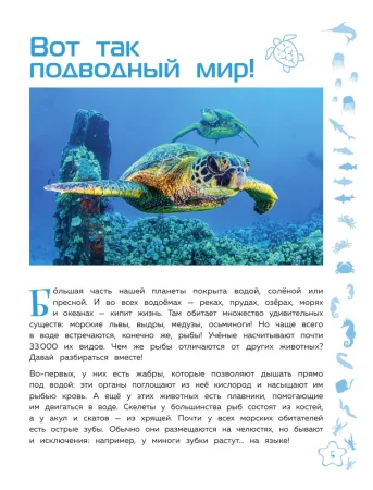 Книга: Морские животные EKS-713683