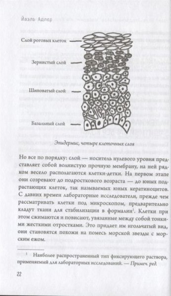 Книга: Что скрывает кожа. 2 квадратных метра, которые диктуют, как нам жить EKS-934492