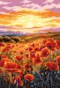 Набор для раскрашивания по номерам (холст на подрамнике) ФРЕЯ 30 х 20 см "Маковое поле на закате" PNB/PS-309