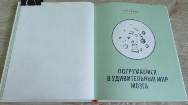 Книга: В моей голове. Как устроен мозг и зачем он нам нужен MIF-462736